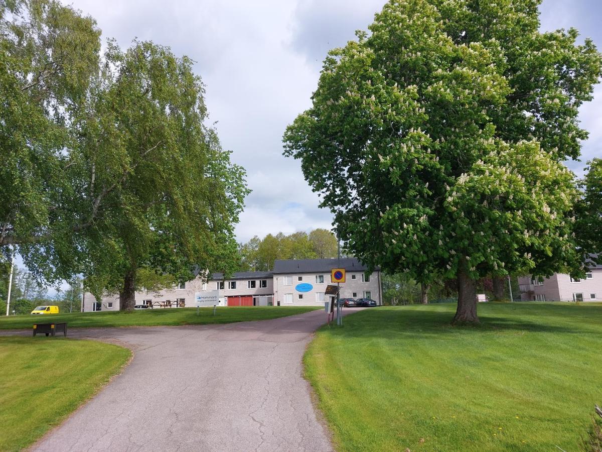 Hammaroe Vandrarhem Bagian luar foto